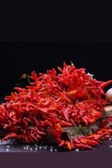 Kurutulmuş Acı Süs Biber