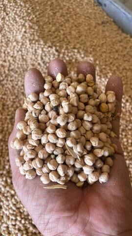 Doğal Köy Nohutu 1Kg